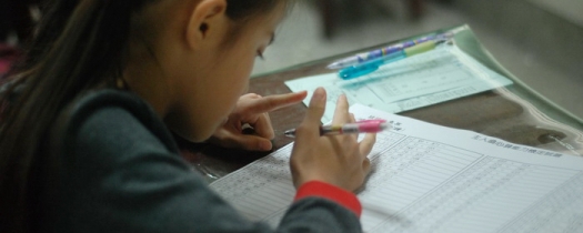 五位大陸數學專家對主人翁心算的評鑑